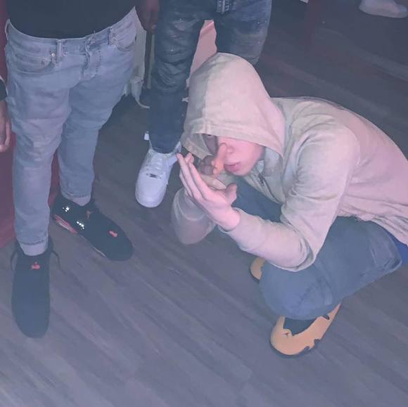 Meet your Posher, Reece - Picture 1 of 1